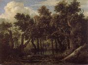Jacob van Ruisdael Marsh in a Forest painting
